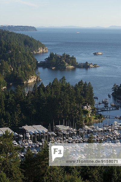 Hafen Yacht Insel British Columbia Kanada Verein Adler Vancouver