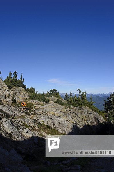 Trail running on Mount Seymour. North Shore Mountains. North Vancouver  British Columbia  Canada