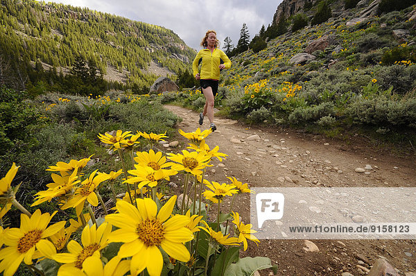Spülbecken  Vereinigte Staaten von Amerika  USA  Frau  folgen  rennen  Mittelpunkt  Schlucht  Wyoming