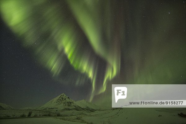 Berg  bedecken  über  Bundesstraße  vorwärts  Polarlicht  Aurora  Schnee  Tundra  Yukon