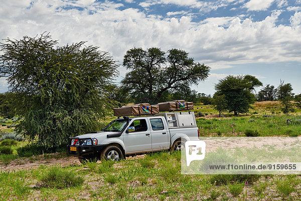 Geländewagen im Kgalagadi-Transfrontier-Park  Kalahari  Südafrika  Botswana