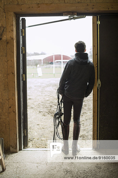 Durchgehende Rückansicht des jungen Mannes mit Zaumzeug in der Tür des Pferdestalls