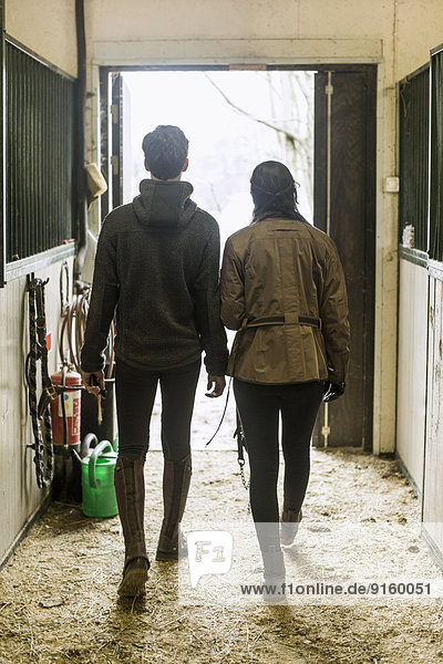 Full length rear view of young couple walking in horse stable