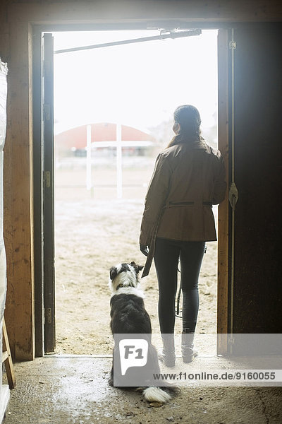 Durchgehende Rückansicht einer jungen Frau mit Hund in der Tür des Pferdestalles