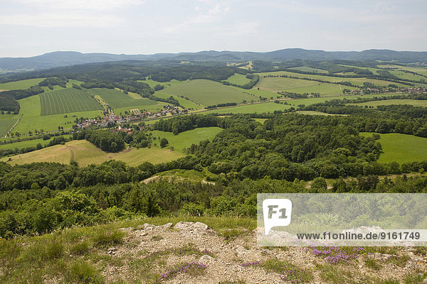 Ausblick vom Großen Hörselberg in Richtung Thüringer Wald  bei Eisenach  Thüringen  Deutschland