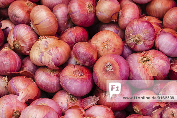 Onions (Allium cepa)