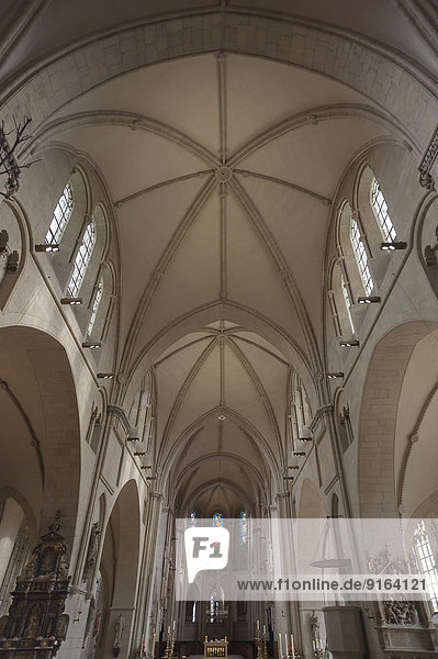 Deckengewölbe und Altarraum vom St.-Paulus-Dom  Münster  Münsterland  Nordrhein-Westfalen  Deutschland