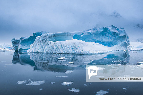 Eisberg in den antarktischen Gewässern  Enterprise Island  Antarktis
