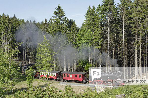 Brockenbahn  bei Drei Annen  Harz  Niedersachsen  Deutschland