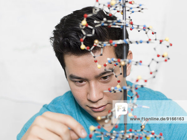 Mixed race student working on double helix model
