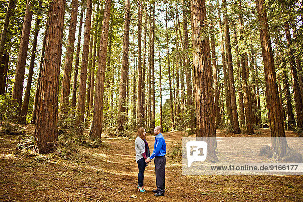 Hispanic couple holding hands in forest