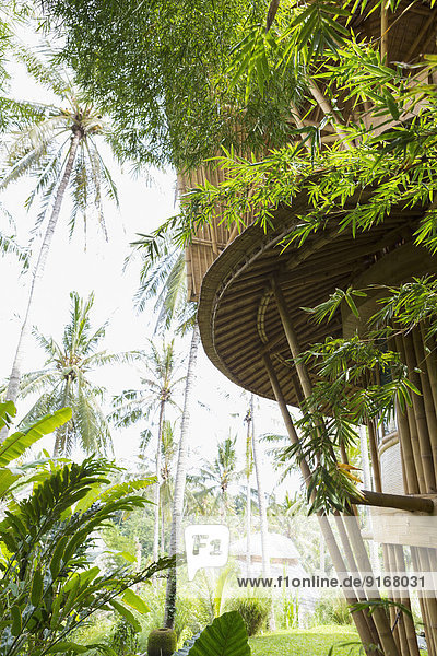 Treehouse in tropical garden