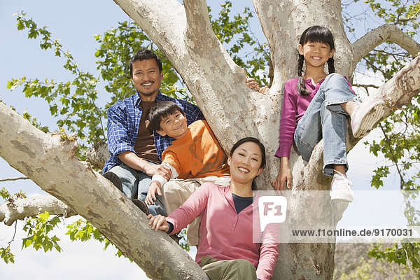 Family climbing tree together