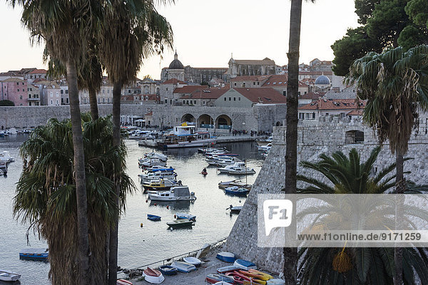 Croatia  Dubrovnik  view to old harbour in the evening