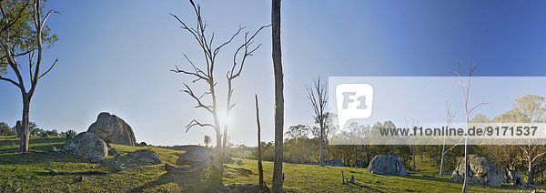 Australien  New South Wales  Arding  Totholz und Felsen in der Morgensonne