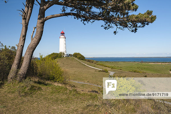 Germany  Mecklenburg-Western Pomerania  Lighthouse on Hiddensee island