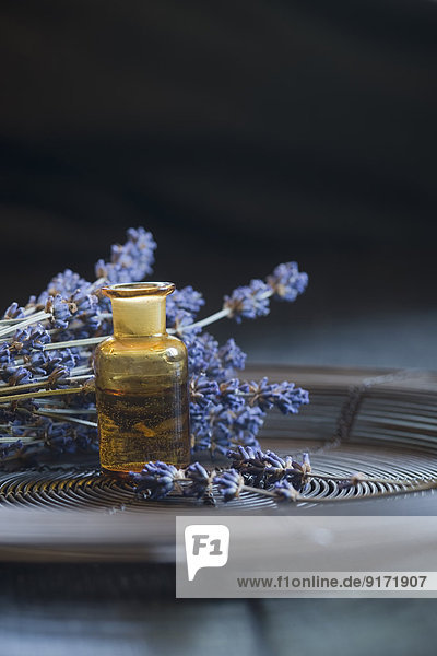 Lavender oil in a glass bottle,  twigs of lavender,  Lavandula angustifolia