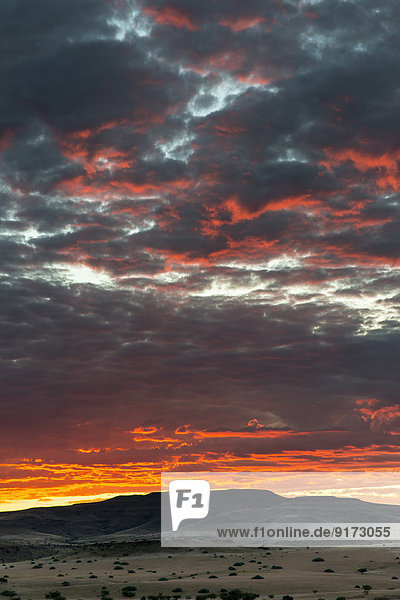 Africa  Namibia  Damaraland  dramatic sky at sunset