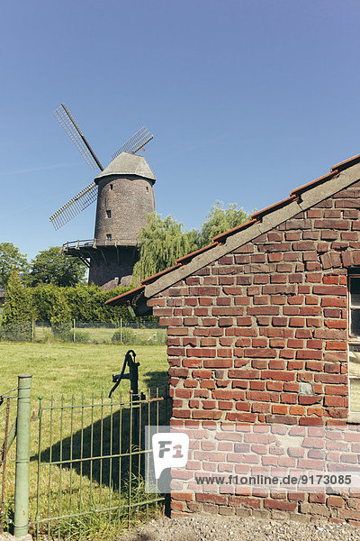 Germany  North Rhine-Westphalia  Werth  Tower mill