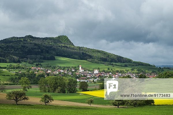 Deutschland  Baden-Württemberg  Landkreis Konstanz  Hegau  Weiterdingen  Hohenstoffeln