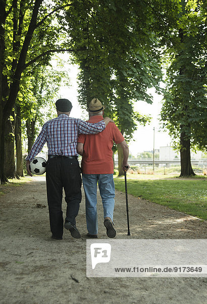 Two old friends walking in the park with football  back view