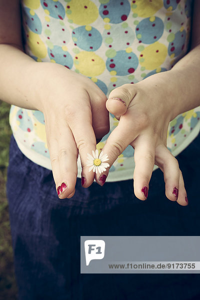 Kleine Mädchenhände mit einzelnen Gänseblümchen,  Bellis perennis