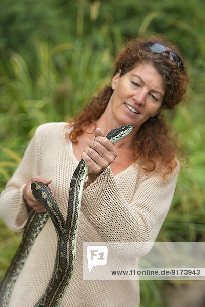 Australia  New South Wales  Wanganui  woman holding a carpet python