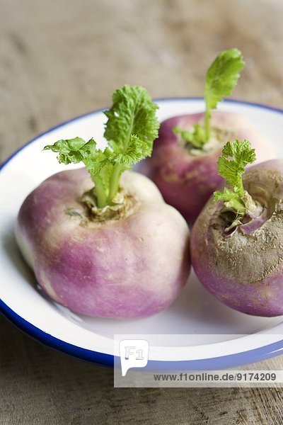 May turnips  Brassica rapa subsp. rapa var. majalis  in an enamel bowl