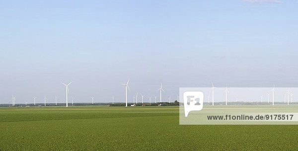 Niederlande  Flevoland  Polderlandschaft mit Windkraftanlagen