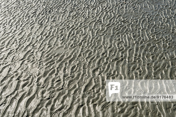 Neuseeland  Nelson  Struktur im Sand am Tahunanui Strand bei Ebbe