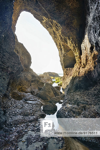 Neuseeland  Golden Bay  Wharariki Beach  Seehöhle in den Felsen mit einem kleinen Bach bei Ebbe