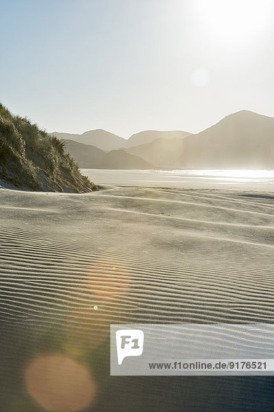 Neuseeland  Golden Bay  Wharariki Beach  Windmuster und Reflexionen in einer Sanddüne