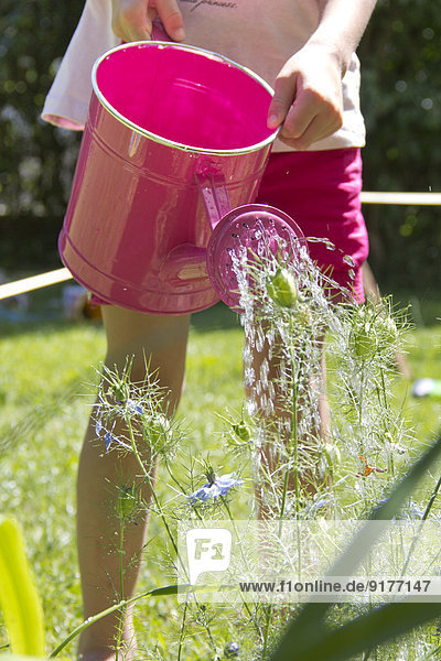 Kleines Mädchen gießt Pflanzen mit rosa Gießkanne im Garten  Teilansicht