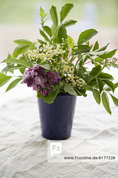 Vase mit Holunderblüten und Flieder