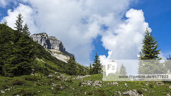 Österreich,  Tirol,  Allgäuer Hochalpen,  Naturschutzgebiet Hoher Ifen,  Mahd-Tal,  Torkopfberg