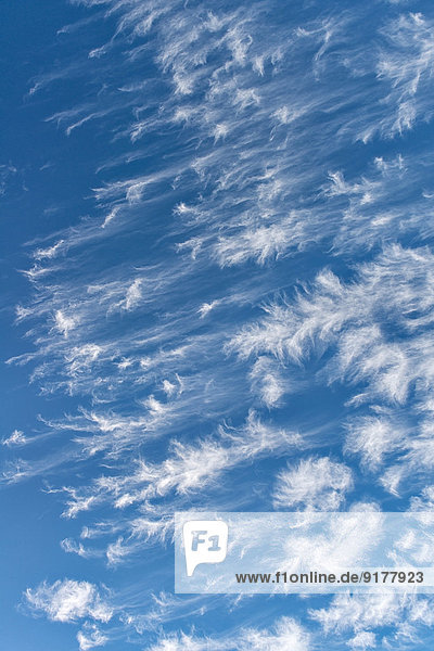 Neuseeland  Südinsel  Kahurangi Nationalpark  Struktur der Zirruswolken am Himmel
