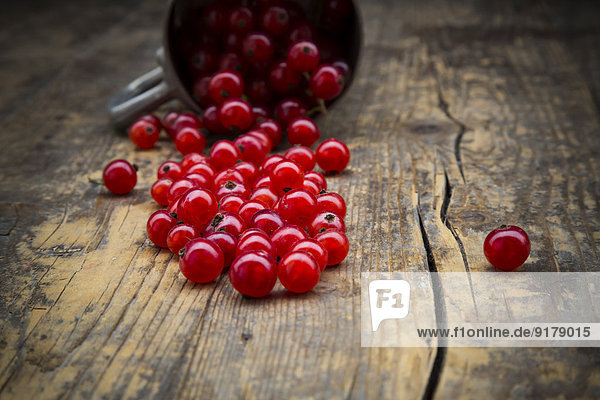 Rote Johannisbeeren  Ribes rubrum  auf dunklem Holztisch