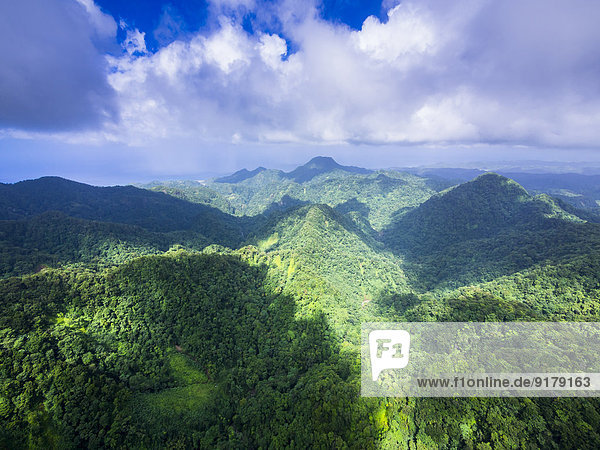 Karibik, Antillen, Kleine Antillen, St. Lucia, Cresslands, Luftbild über Urwald und Berge