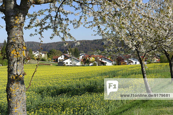 Deutschland Bayern Oberbayern Altmühltal Walting Gungolding