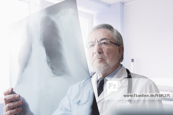 Hispanic doctor reading x-rays in hospital
