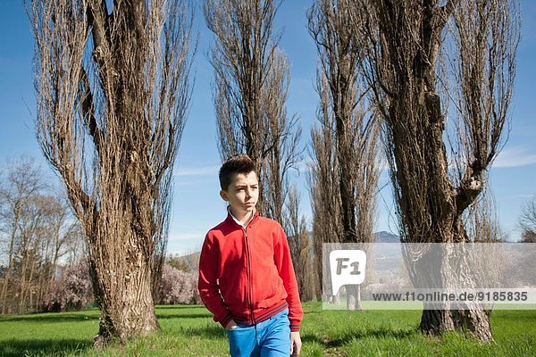Zwölfjähriger Junge schlendert über baumgesäumtes Feld