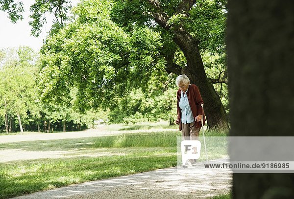 Ältere Frau  die durch den Park geht  mit einem Spazierstock.