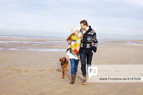 Mid adult couple and dog strolling on beach  Bloemendaal aan Zee  Netherlands