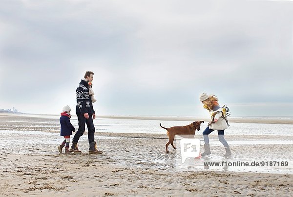 Mittlere erwachsene Eltern mit Tochter und Hund beim Fußballspielen am Strand  Bloemendaal aan Zee  Niederlande
