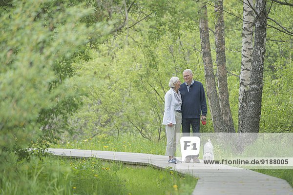 Senior couple walking with dog