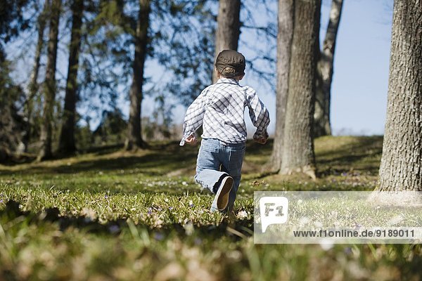 Boy running among trees