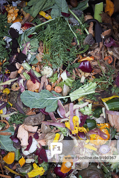 Directly above shot of vegetable garbage