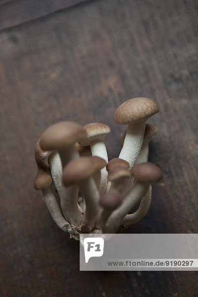 Close-up of Shimeji mushrooms on wooden table