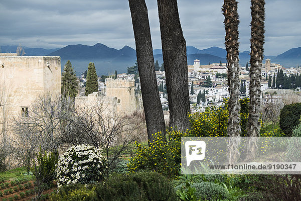 Blick vom Garten auf das Stadtbild  Alhambra  Granada  Spanien