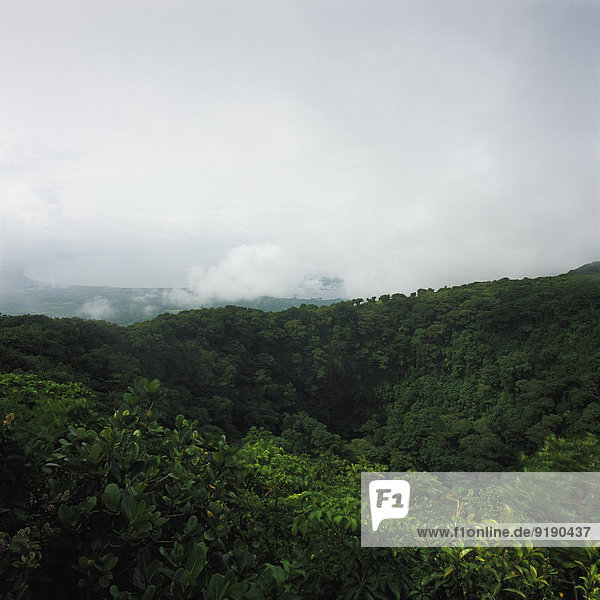 Blick in den Wald bei bewölktem Himmel  Vulkan Mombacho  Nicaragua